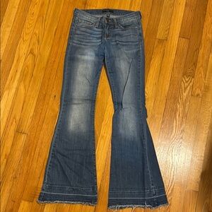 Women's Blue Flared Jeans
